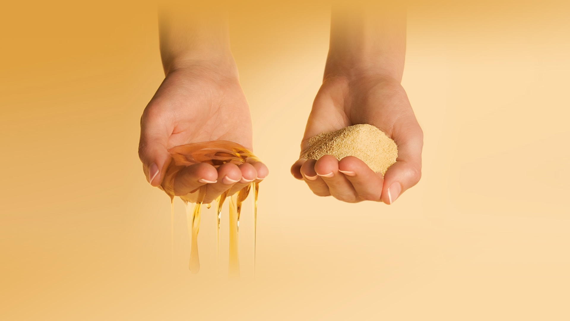 合肥衆業蜂産品有限公司